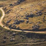 Ponte de Lima Guided Buggy Tour - Who Should Consider This Tour