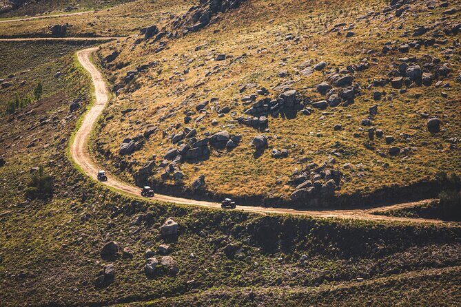 Ponte de Lima Guided Buggy Tour - Who Should Consider This Tour