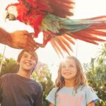 PortAventura Park Day Trip from Barcelona - Final Thoughts