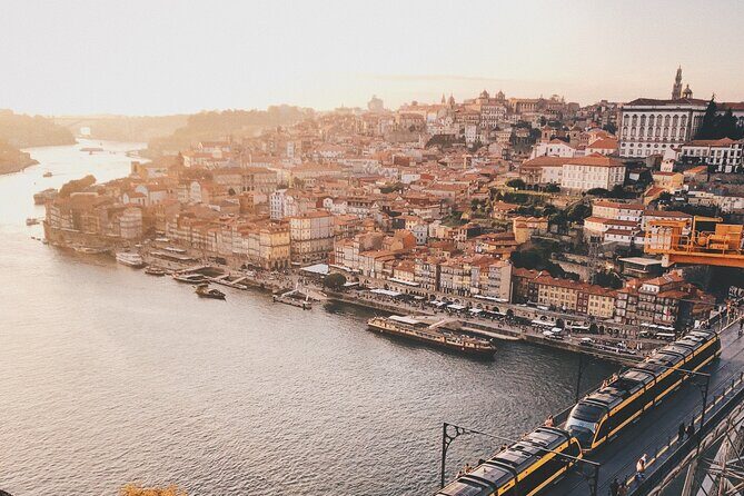 Porto City Full Day Private Tour - What Travelers Say