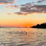 Porto: Porto City views Tour with Sunset Option,(shared) - What Do Travelers Say?