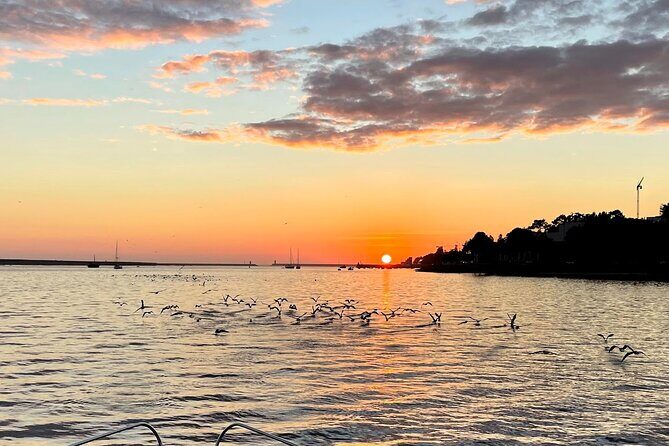 Porto: Porto City views Tour with Sunset Option,(shared) - What Do Travelers Say?