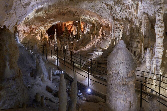 Postojna Cave & Predjama Castle - Shore Excursion from Koper - Who Should Consider This Tour?