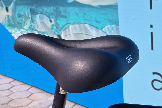 Premium Bike Rental in Barcelona - FAQ About the Barcelona E-Bike Rental