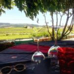 Premium Douro Valley Small-Group Tour, Wine Tasting, Lunch & Boat - What to Expect at Each Stop