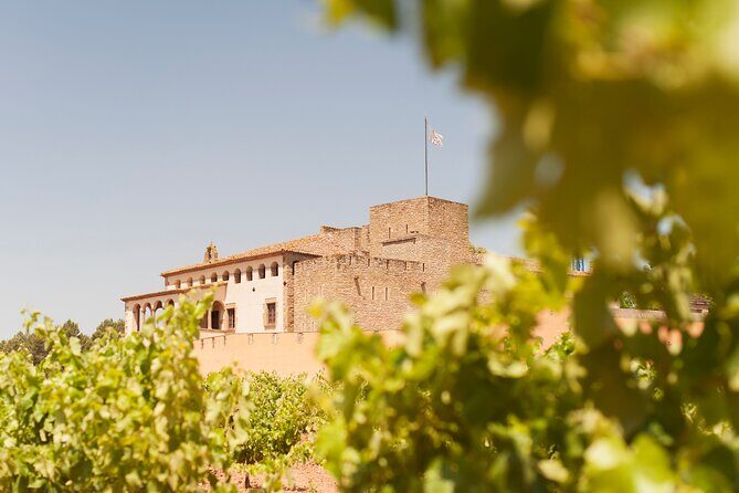 Premium Montserrat & Wine Full Day Tour from Barcelona - What Could Be Better?