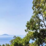 Premium private trip to Gibraltar from Seville (multiple options) - What Do the Reviews Say?