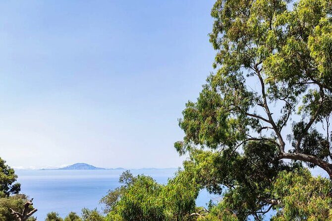 Premium private trip to Gibraltar from Seville (multiple options) - What Do the Reviews Say?