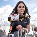 Premium Tasting | Quinta de Santa Cristina Vinho Verde - Exploring the Quinta de Santa Cristina Experience