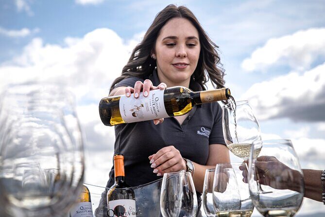 Premium Tasting | Quinta de Santa Cristina Vinho Verde - Exploring the Quinta de Santa Cristina Experience
