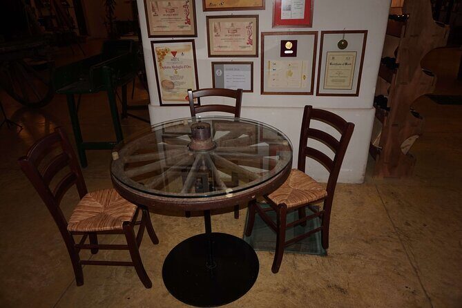 Primitivo and Negroamaro wine tour: a visit to two wineries and typical lunch. From Lecce - An In-Depth Look at the Tour Experience