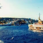 Princess Island Tour with Lunch & Ferry Ride - The Downsides: What to Watch Out For