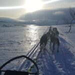 Privat sled trip with husky in the alta valley - The Special Touches That Make It Stand Out