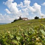 Private 10-hour round transfer to Champagne Epernay from Paris. Best offer! - What the Reviews Tell Us
