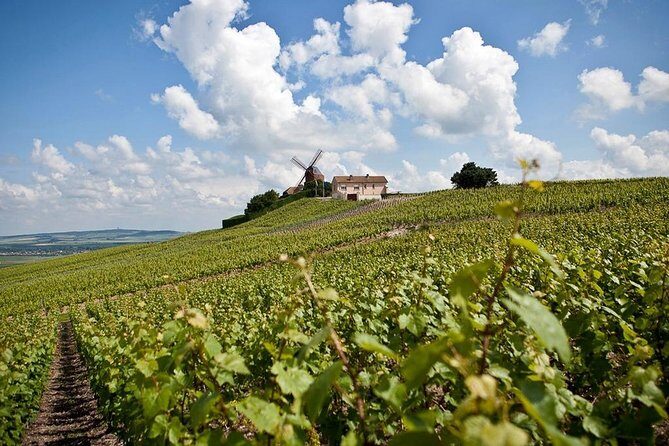 Private 10-hour round transfer to Champagne Epernay from Paris. Best offer! - What the Reviews Tell Us