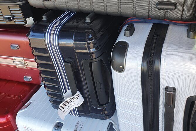 Private Airport Transfer to or from Schiphol Airport - The Experience: What You Can Expect