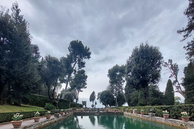 Private Airport Transfer to Rome City - What Does the Experience Look Like?