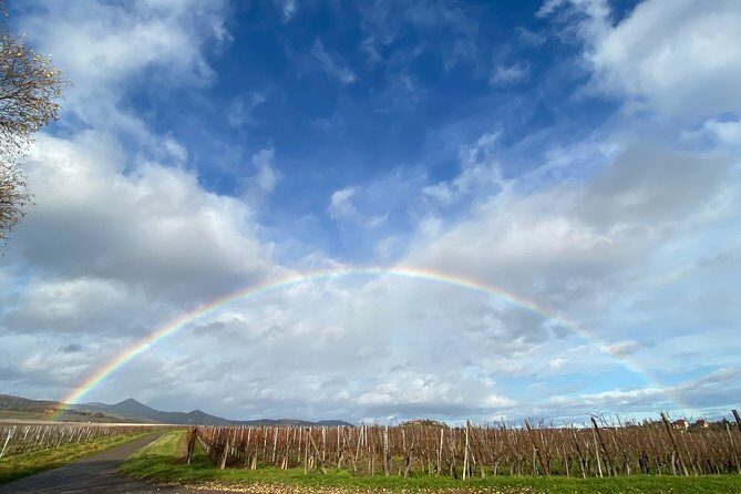 Private and customizable: Alsace Wine Route HIGHLIGHTS in 3 hours - The Itinerary in Detail