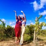 Private Arrábida & Setúbal Wine Tour: All-Inclusive from Lisbon - Exploring the Markets and Scenic Spots