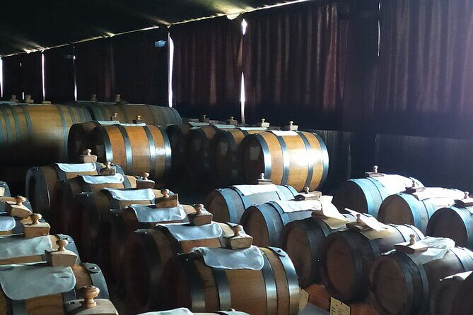 Private Balsamic vinegar & Parmigiano Reggiano factory visits - A Closer Look at the Itinerary