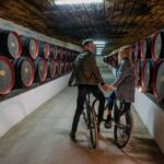 Private Bike Tour to Cricova Winery with wine tasting and lunch - The Winery Experience