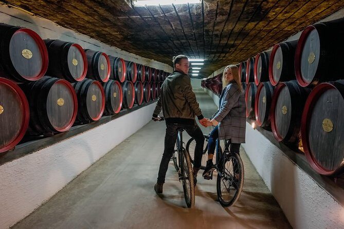 Private Bike Tour to Cricova Winery with wine tasting and lunch - The Winery Experience