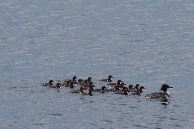 Private Boat Excursion into The Archipelago of Tammisaari - FAQ