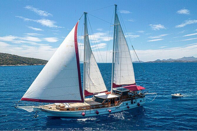 Private Boat Experience in Bodrum Coast with Snorkeling and Coves - The Real Experience: What Travelers Say
