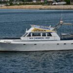 Private Boat Tour with activities in Pula Croatia - Final Thoughts: Is This Tour Right for You?