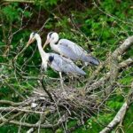 Private Canyon&Cave Tour from Kutaisi(Martvili-Okatse-Prometheus) - The Value of This Tour