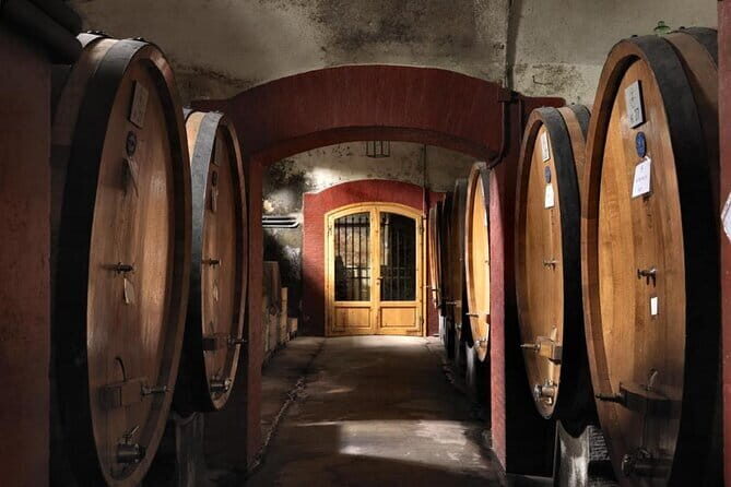 Private Chianti wine tour - The Experience from the Traveler Perspective