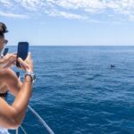 Private Coastline and Dolphins Yacht Cruise from Albufeira - Practicalities and Tips