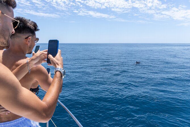 Private Coastline and Dolphins Yacht Cruise from Albufeira - Practicalities and Tips