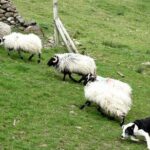 Private Connemara Day Tour - In-Depth Look at the Itinerary