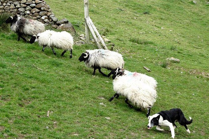 Private Connemara Day Tour - In-Depth Look at the Itinerary