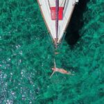 Private Daily Sailing Cruise from Skopelos port to Alonissos - The Onboard Experience