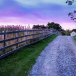 Private Day Tour from Florence to Pisa, Chianti and San Gimignano - The Experience of the Guides and Vehicles