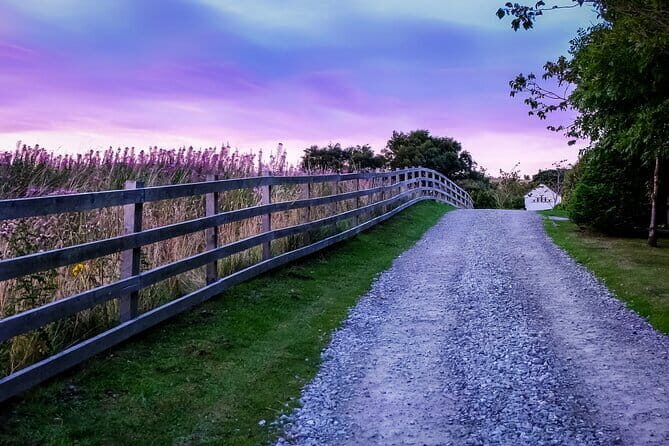 Private Day Tour from Florence to Pisa, Chianti and San Gimignano - The Experience of the Guides and Vehicles