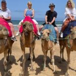 Private Day Tour in Gibraltar and Tangier, Morocco from Malaga - What Travelers Say