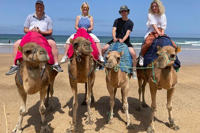 Private Day Tour in Gibraltar and Tangier, Morocco from Malaga - What Travelers Say