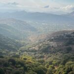 Private Day Tour In Naxos Lunch included - The Real Value: What You Get