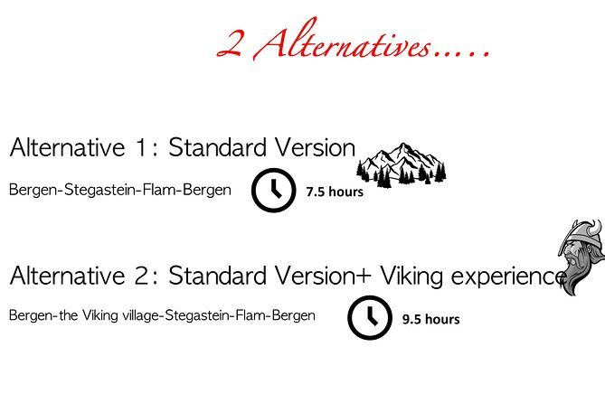 Private Day Tour to Flam and Stegastein - Who Should Consider This Tour?