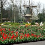 Private Day Trip from Amsterdam to Keukenhof with Entrance Tickets - How Does the Price Reflect Value?