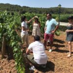 Private Day Trip from Barcelona to Montserrat - The Downsides to Keep in Mind