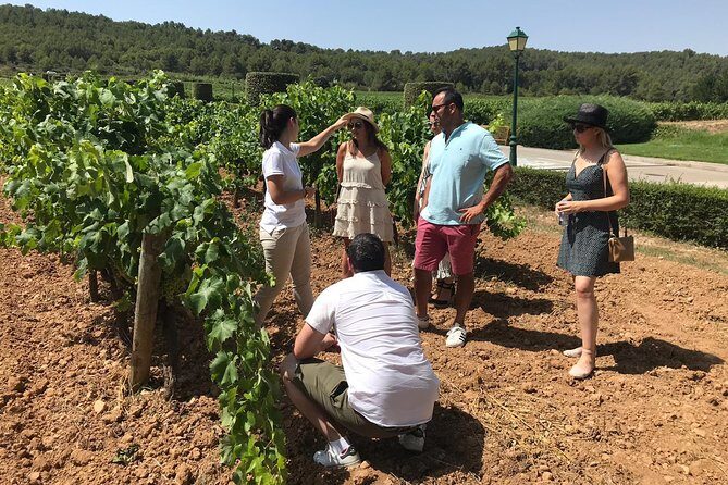 Private Day Trip from Barcelona to Montserrat - The Downsides to Keep in Mind