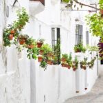 *Private Day Trip* from Cádiz: The White Towns of Andalusia - First Stop: Arcos de la Frontera