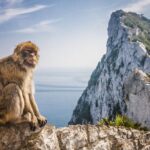 *Private Day Trip* Gibraltar and Vejer from Cádiz - Real Experiences from Travelers