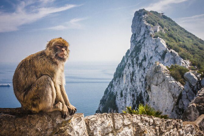*Private Day Trip* Gibraltar and Vejer from Cádiz - Real Experiences from Travelers