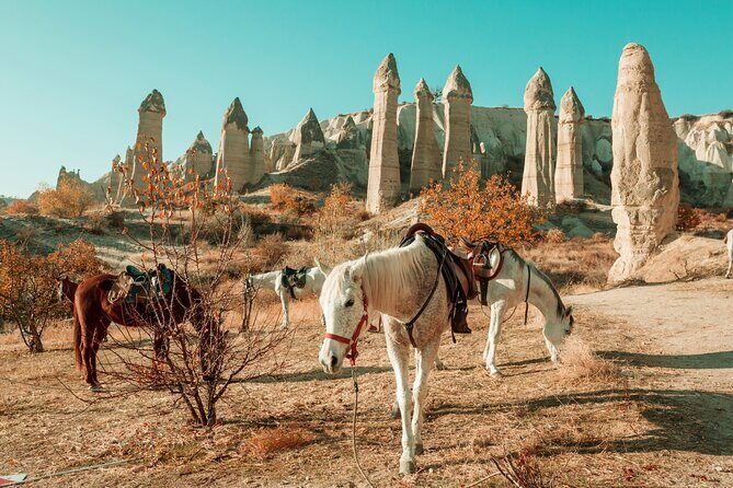 Private Day Trip to Cappadocia from Istanbul - Break-Down of the Itinerary