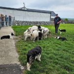 Private Day Trip to the Cliffs of Moher from Dublin - What to Expect from the Itinerary